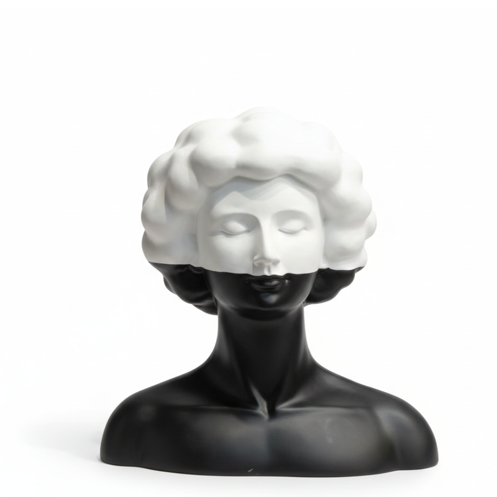 Abstract Black & White Face Sculpture
