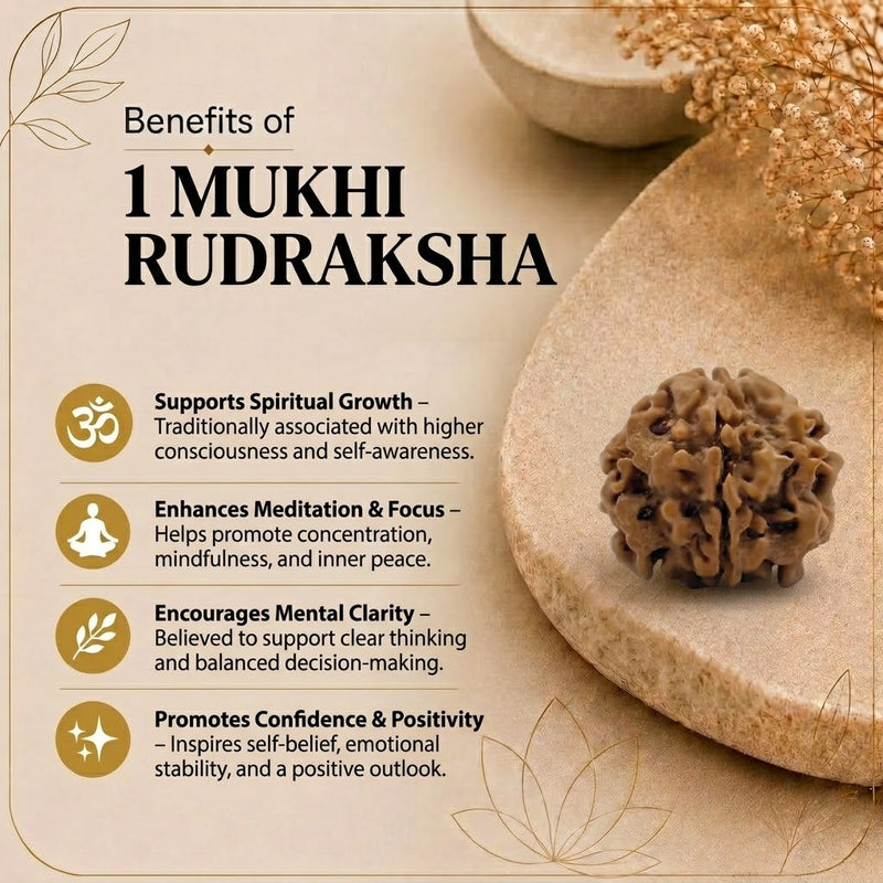 1 Mukhi Rudraksha