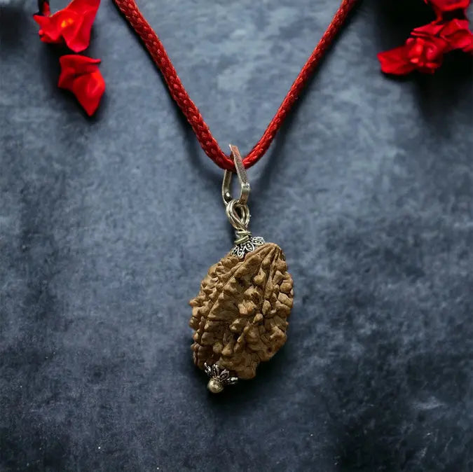 2 Mukhi Indian Rudraksha - Do Mukhi Nakshatra one