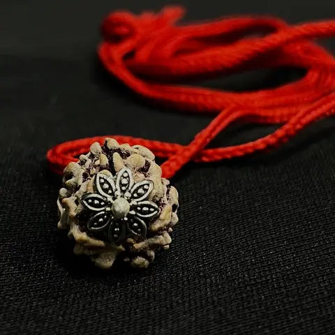 3 Mukhi Indian Rudraksha - Teen Mukhi Nakshatra one