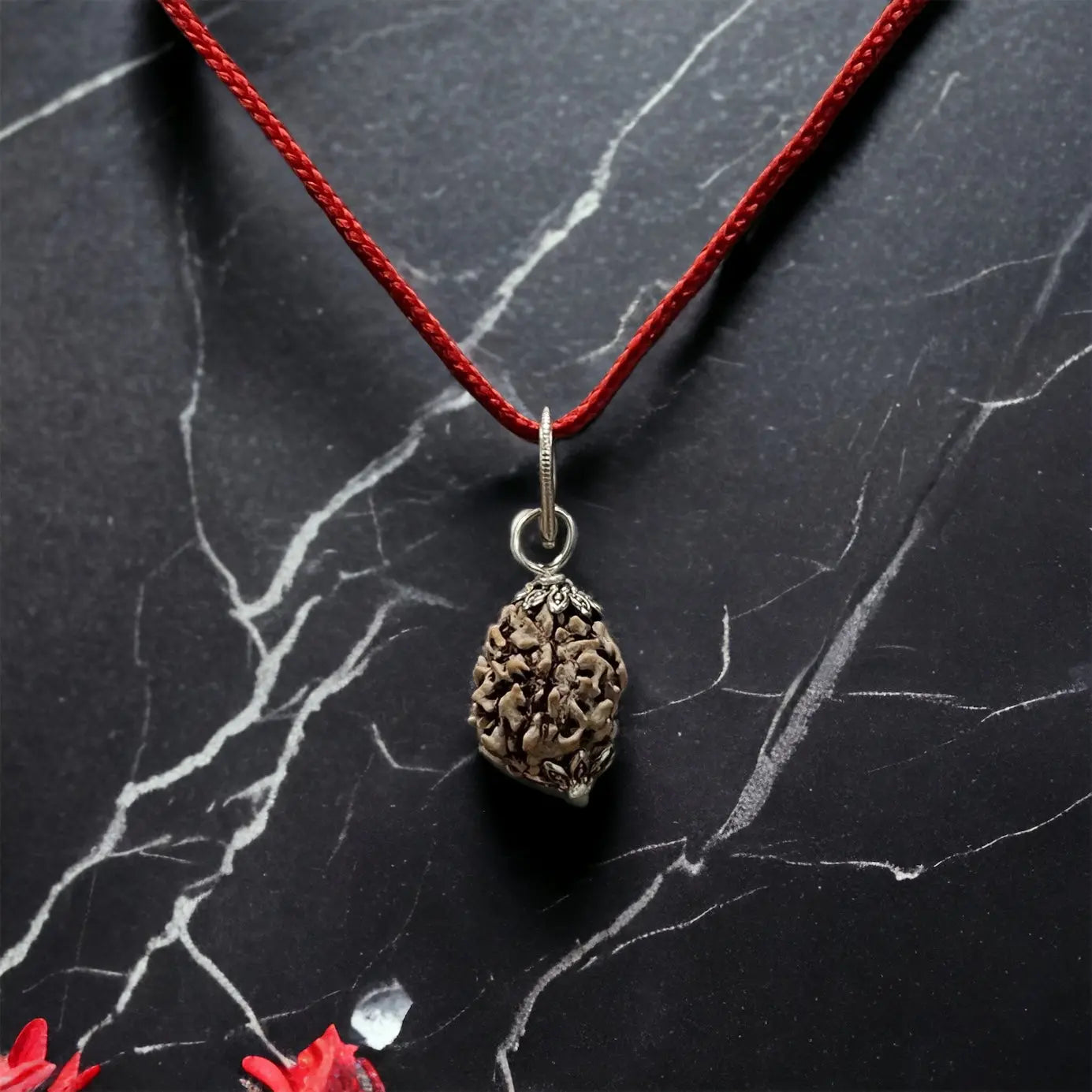 3 Mukhi Indian Rudraksha - Teen Mukhi Nakshatra one