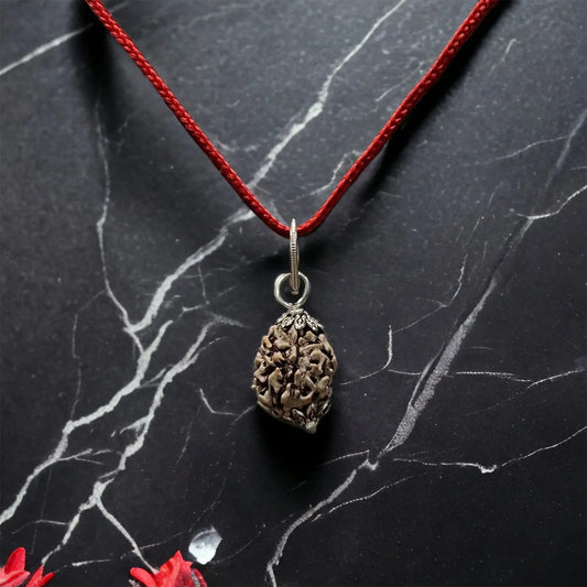 3 Mukhi Indian Rudraksha - Teen Mukhi Nakshatra one
