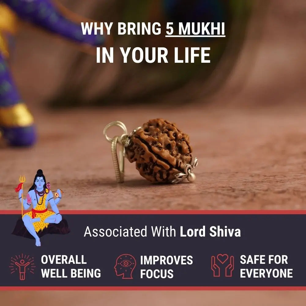 5 Mukhi Nepali Rudraksha - Paanch Mukhi Nakshatra one