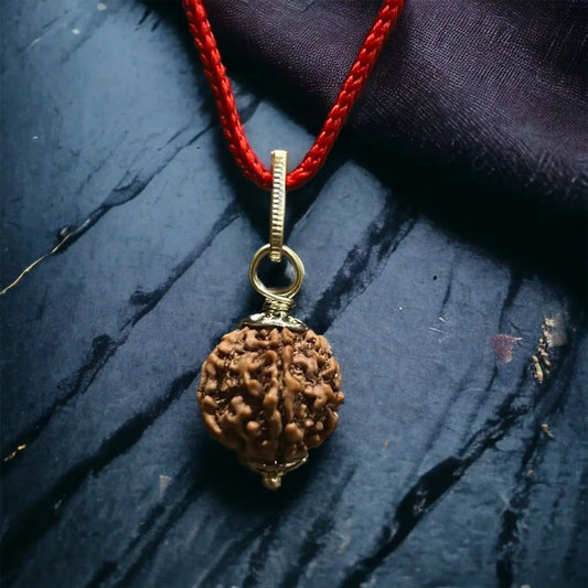 5 Mukhi Nepali Rudraksha - Paanch Mukhi Nakshatra one