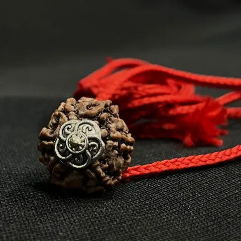 6 Mukhi Nepali Rudraksha - Chhey Mukh Nakshatra one
