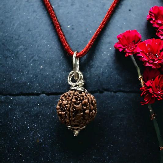 6 Mukhi Nepali Rudraksha - Chhey Mukh Nakshatra one