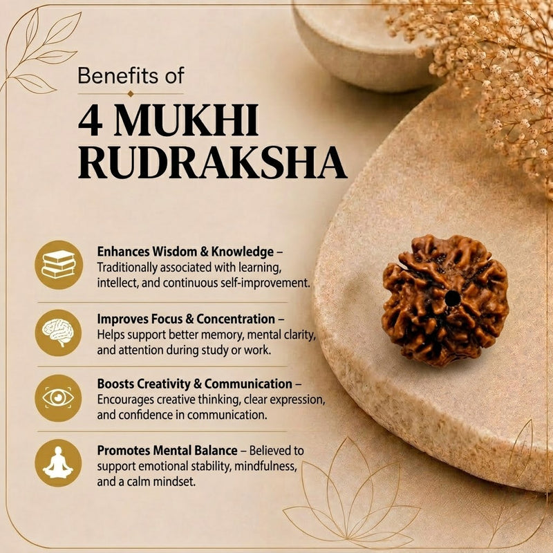 4 Mukhi Rudraksha