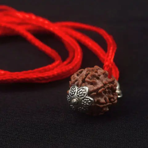 7 Mukhi Nepali Rudraksha - Saat Mukhi Nakshatra one