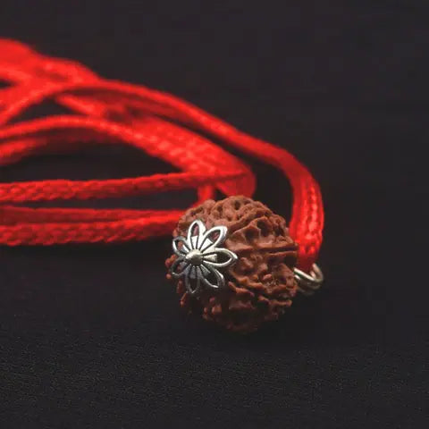 8 Mukhi Nepali Rudraksha - Aath Mukhi Nakshatra one