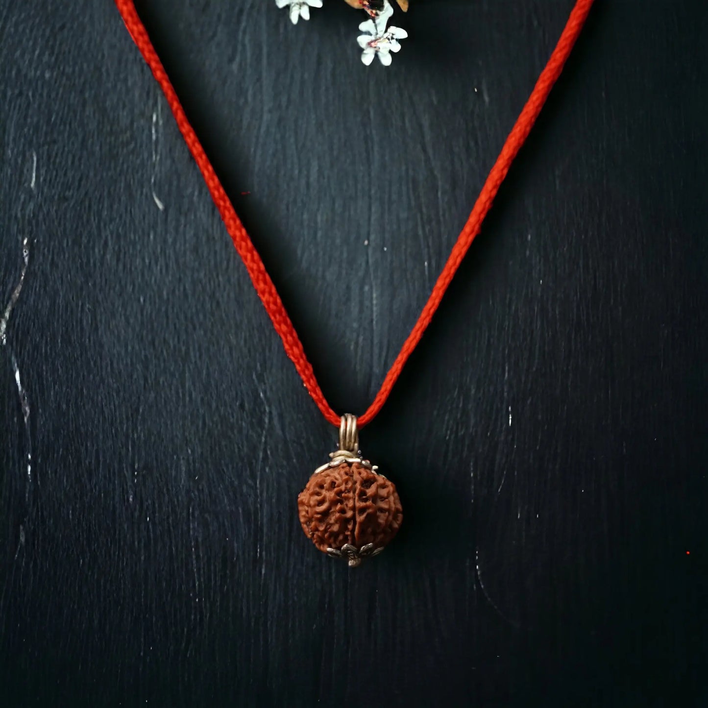 8 Mukhi Nepali Rudraksha - Aath Mukhi Nakshatra one