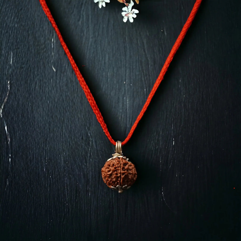 8 Mukhi Nepali Rudraksha - Aath Mukhi Nakshatra one