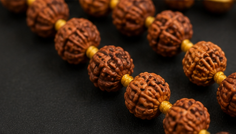 Brown Rudraksha Mala (108+1 Beads)