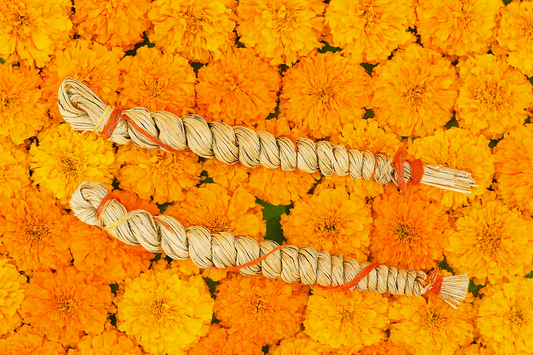 Kusha Motak - Pack of 3 kusha for puja and hawan