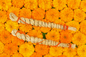 Kusha Motak - Pack of 3 kusha for puja and hawan