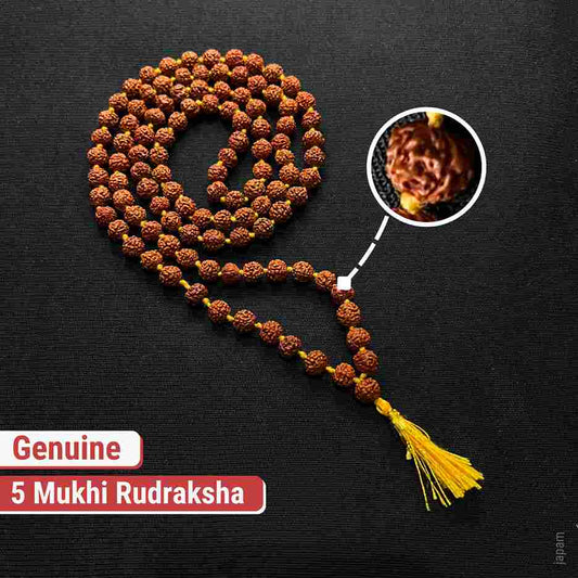 Brown Rudraksha Mala - 108+1 Beads Nakshatra one