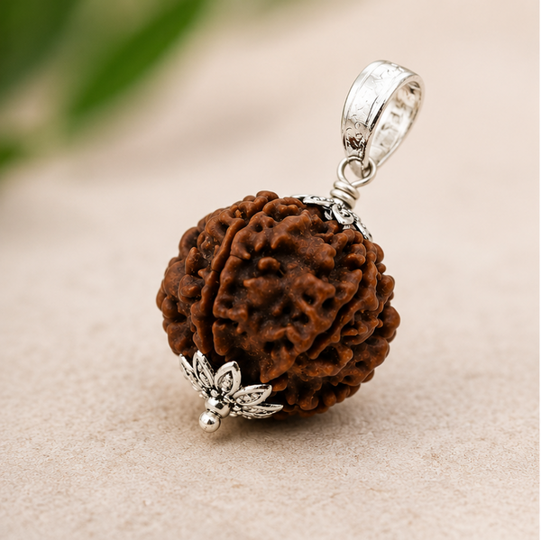 Original Rudraksha – Natural Sacred Rudraksha Beads for Daily Wear, Meditation & Spiritual Practice