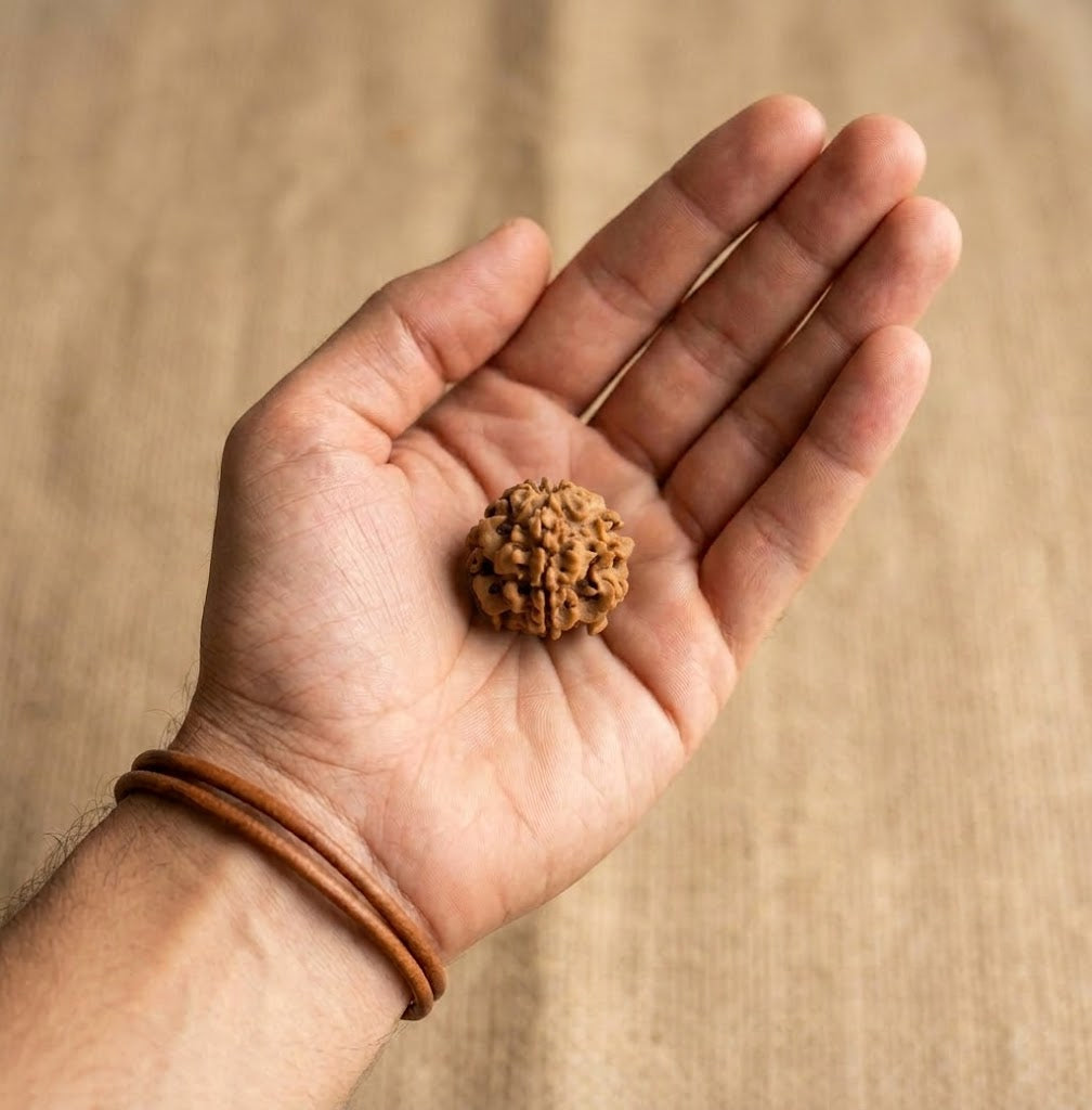 1 Mukhi Rudraksha