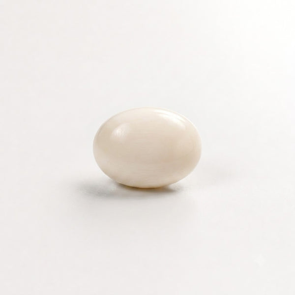  White Italian Coral Stone